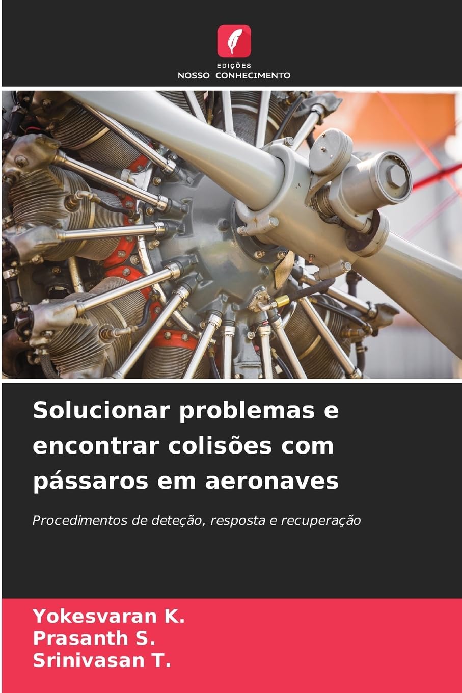 Solucionar problemas e encontrar colisões com pássaros em aeronaves Business & Technology