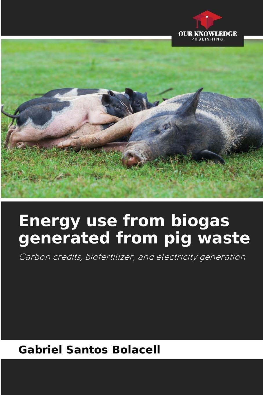 Energy use from biogas generated from pig waste Arts & Music