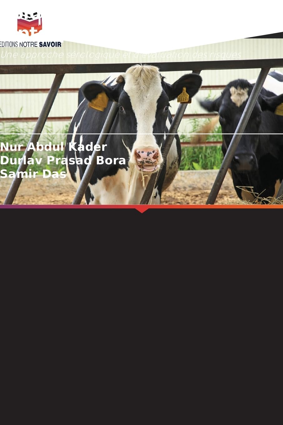 Épidémiologie de la leptospirose bovine: Une approche sérologique et d'évaluation des risques Medicine