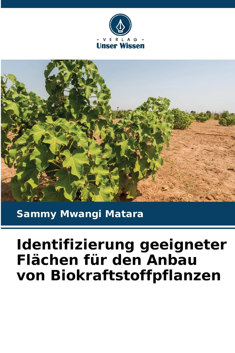 Identifizierung geeigneter Flächen für den Anbau von Biokraftstoffpflanzen Business & Technology