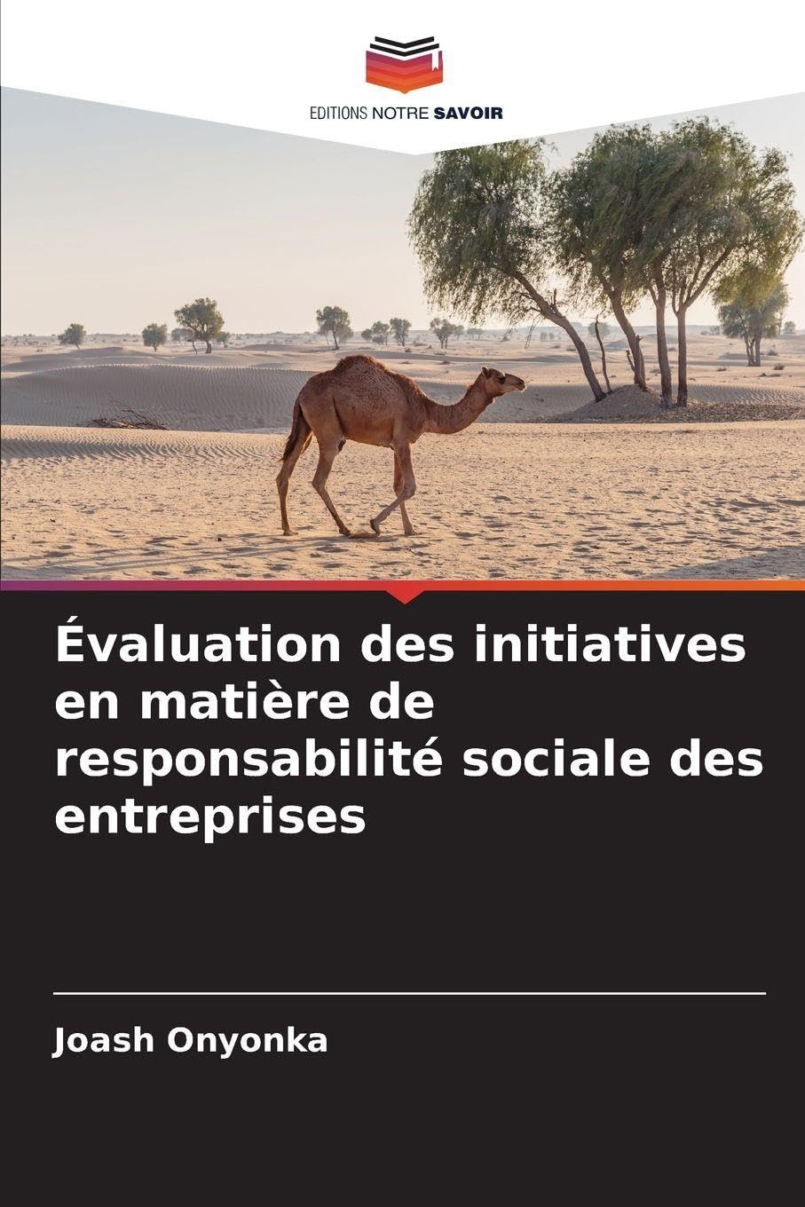 Évaluation des initiatives en matière de responsabilité sociale des entreprises Books