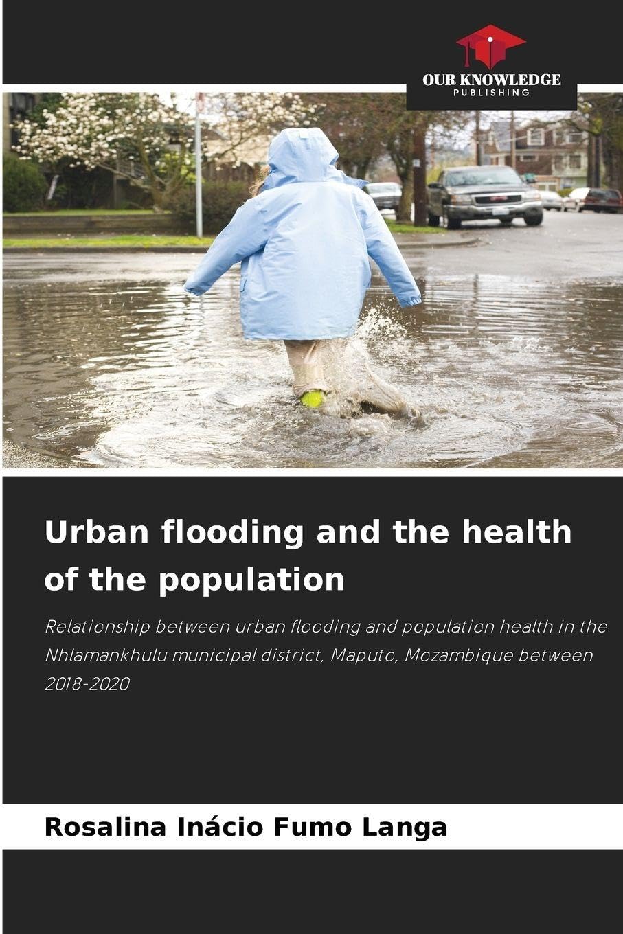 Urban flooding and the health of the population Business & Technology