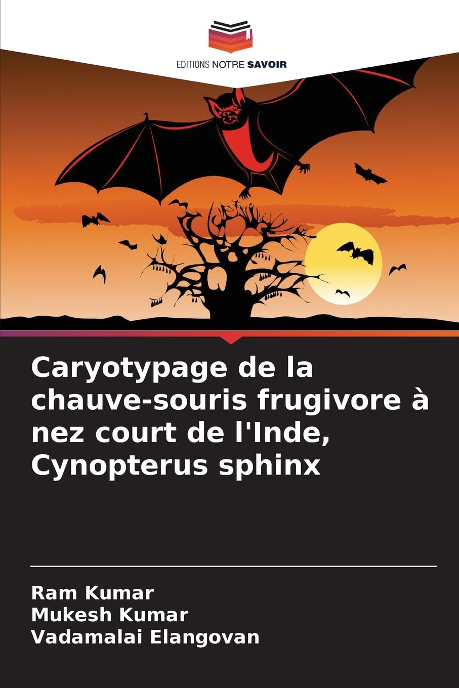 Caryotypage de la chauve-souris frugivore à nez court de l'Inde, Cynopterus sphinx Natural Sciences
