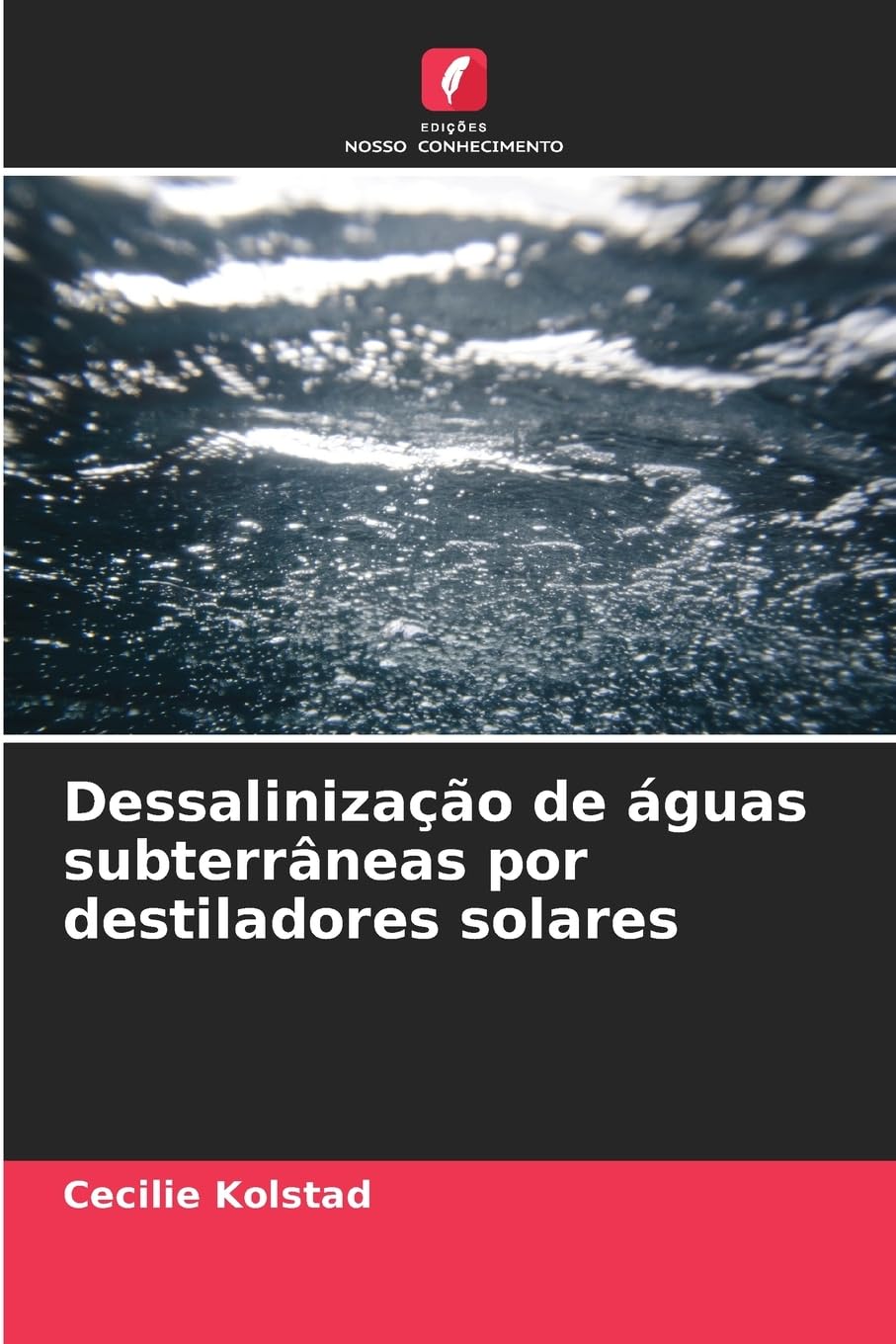 Dessalinização de águas subterrâneas por destiladores solares Business & Technology