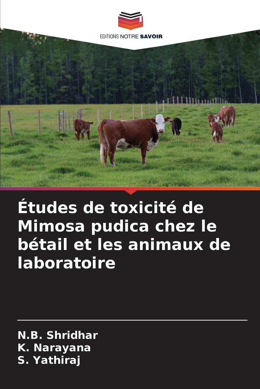 Études de toxicité de Mimosa pudica chez le bétail et les animaux de laboratoire Medicine