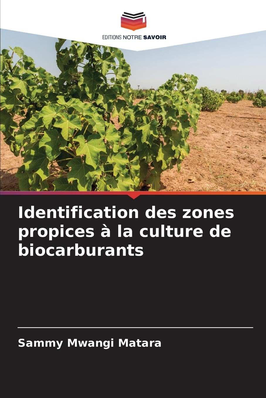 Identification des zones propices à la culture de biocarburants Business & Technology