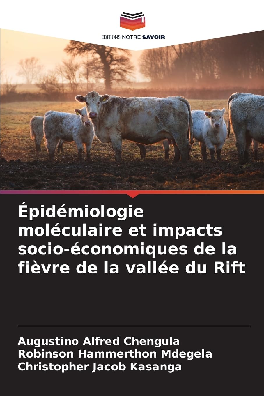 Épidémiologie moléculaire et impacts socio-économiques de la fièvre de la vallée du Rift Natural Sciences