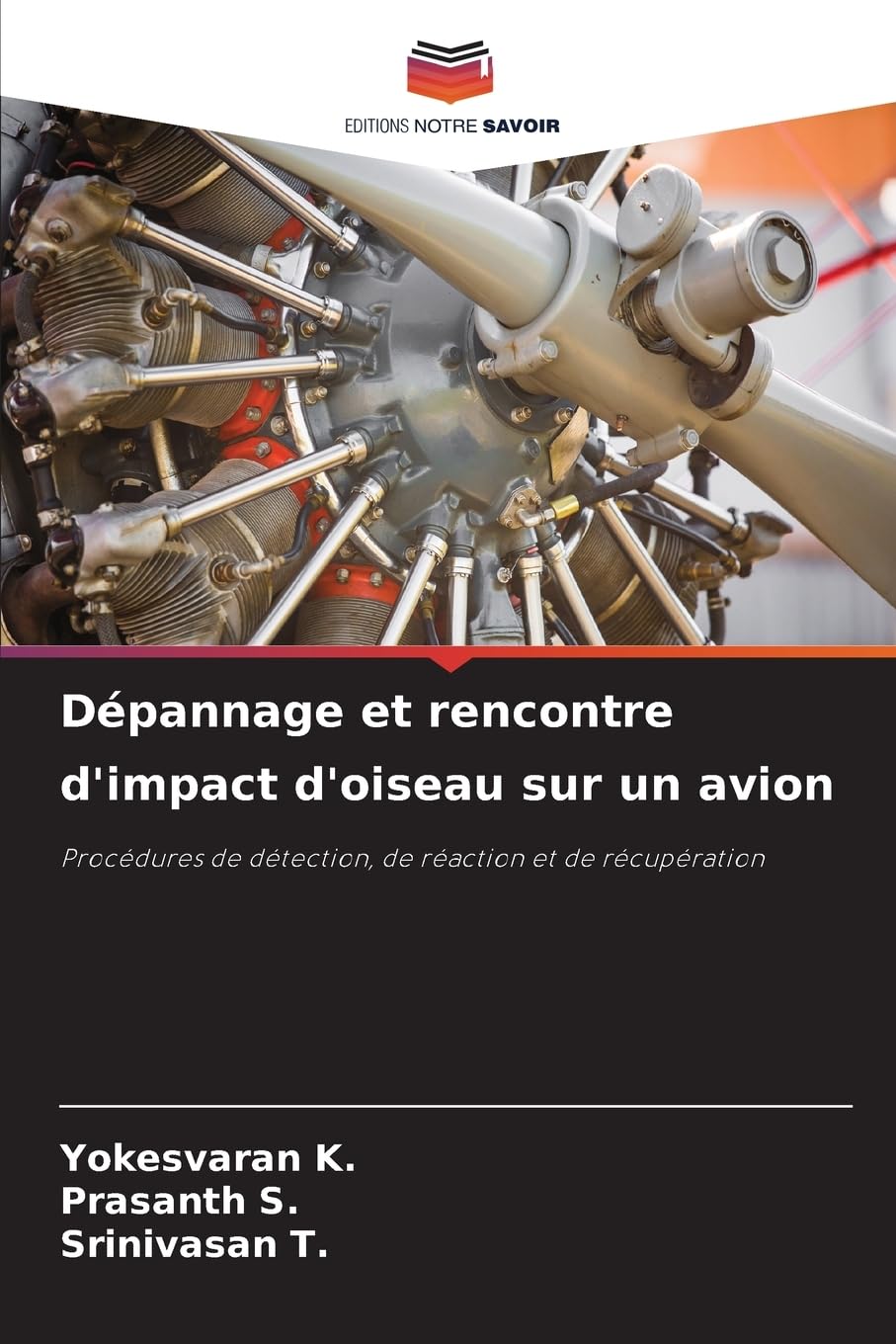 Dépannage et rencontre d'impact d'oiseau sur un avion: Procédures de détection, de réaction et de récupération Business & Technology