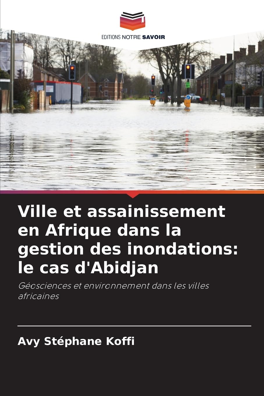 Ville et assainissement en Afrique dans la gestion des inondations: le cas d'Abidjan: Géosciences et environnement dans les villes africaines Business & Technology