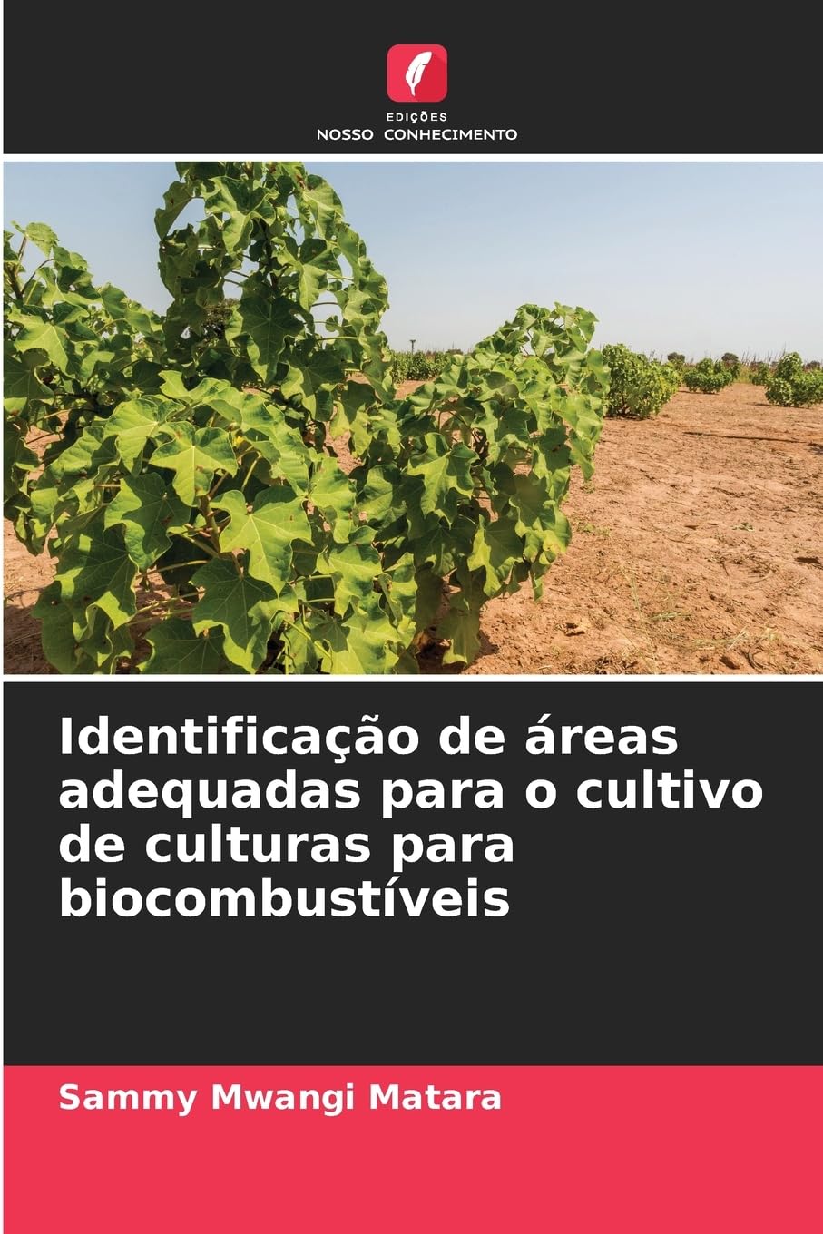 Identificação de áreas adequadas para o cultivo de culturas para biocombustíveis Business & Technology