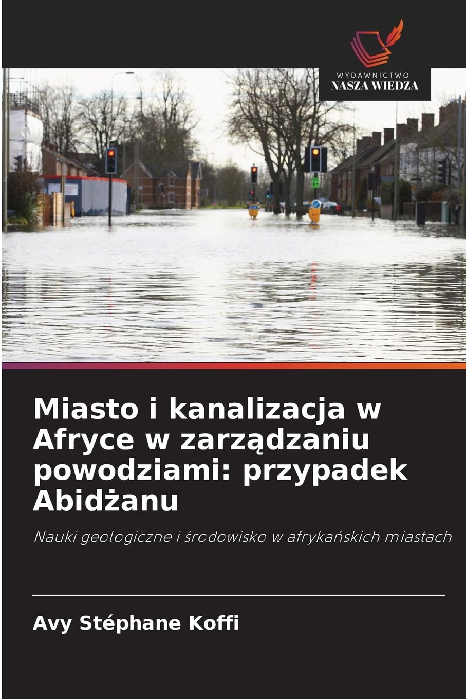 Miasto i kanalizacja w Afryce w zarz¿dzaniu powodziami: przypadek Abid¿anu Business & Technology