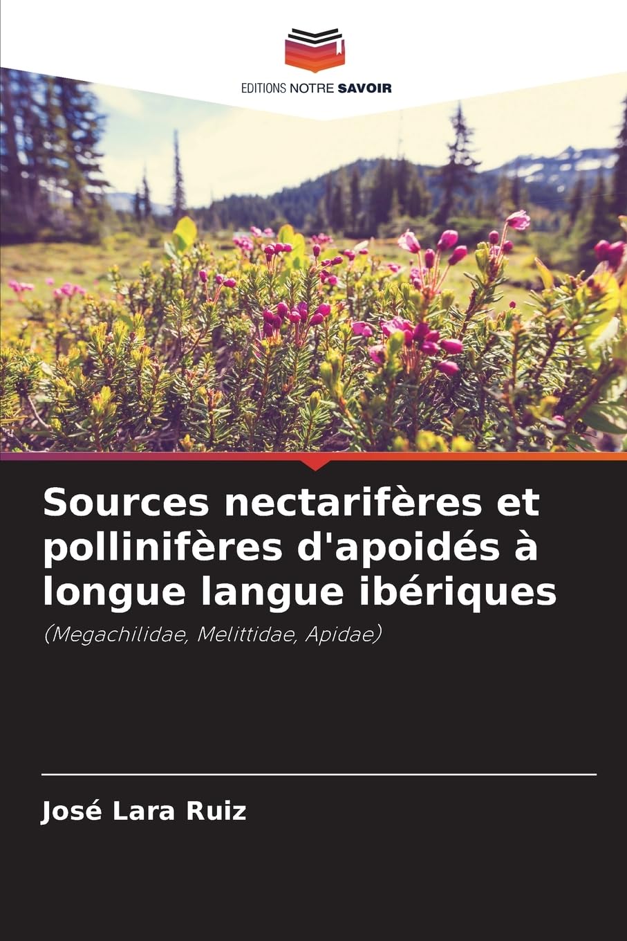 Sources nectarifères et pollinifères d'apoidés à longue langue ibériques Business & Technology