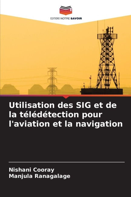 Utilisation des SIG et de la télédétection pour l'aviation et la navigation Business & Technology