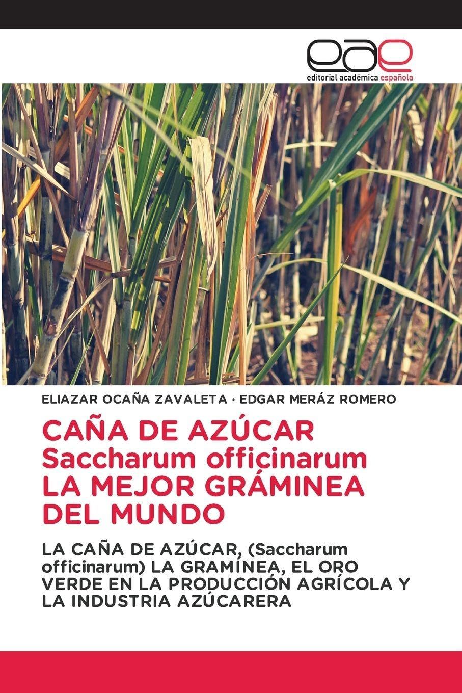 CAÑA DE AZÚCAR Saccharum officinarum LA MEJOR GRÁMINEA DEL MUNDO Law