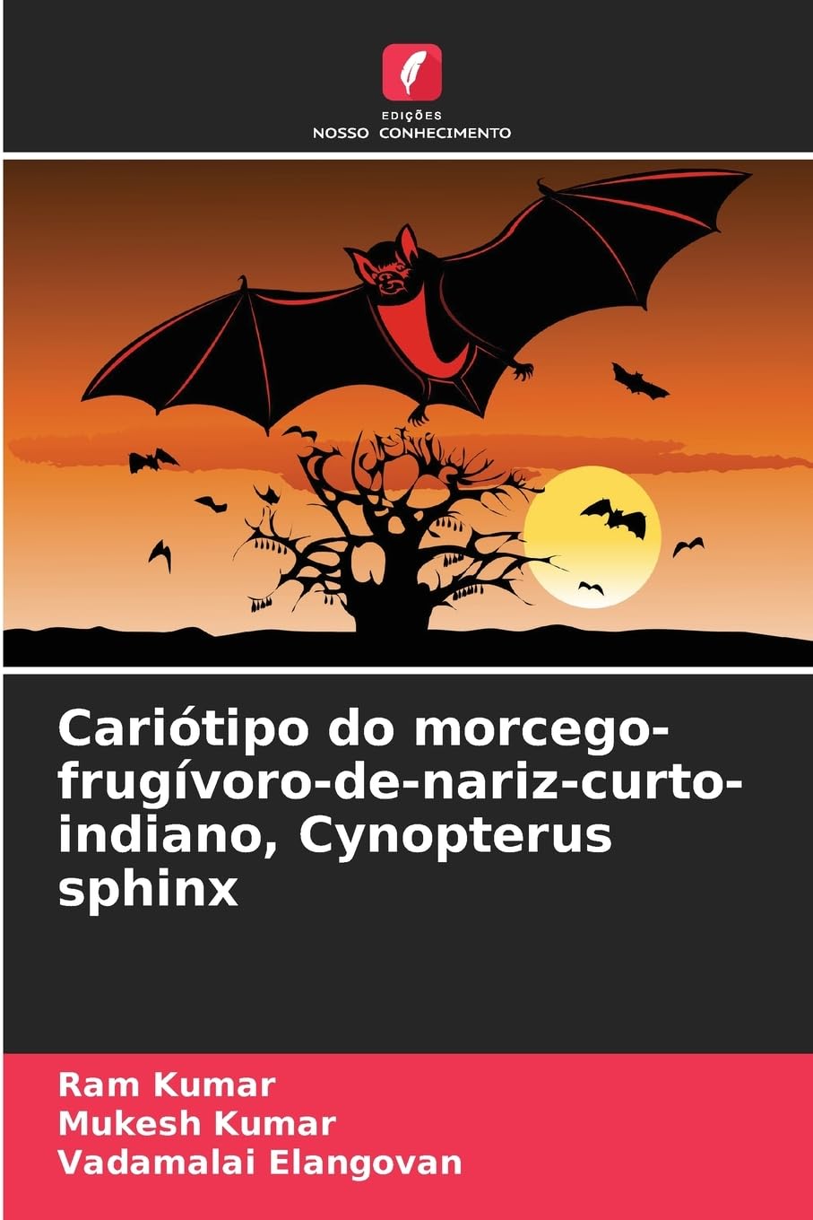 Cariótipo do morcego-frugívoro-de-nariz-curto-indiano, Cynopterus sphinx Natural Sciences