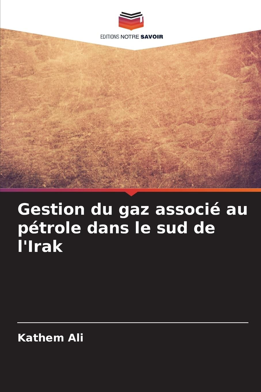 Gestion du gaz associé au pétrole dans le sud de l'Irak Business & Technology