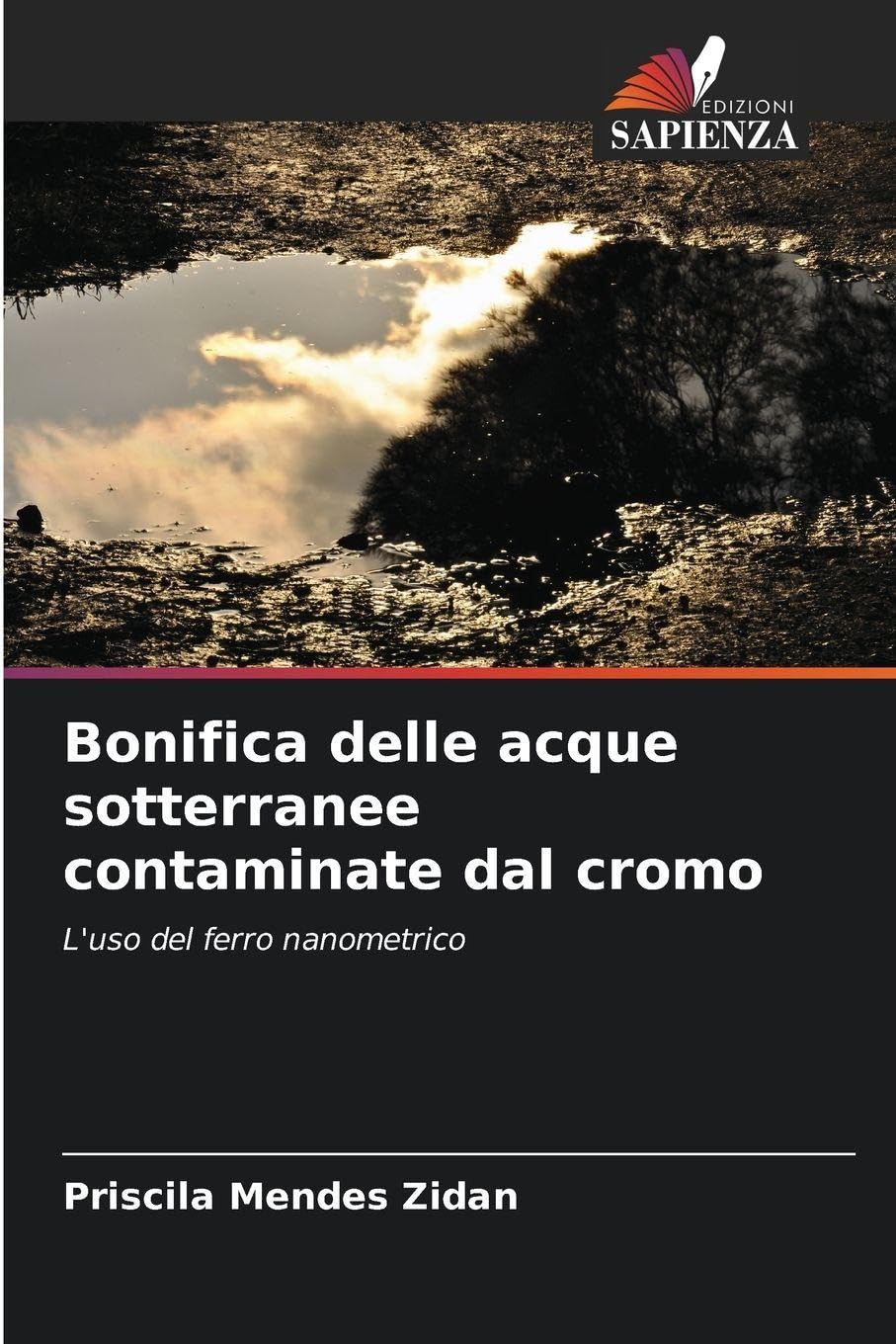 Bonifica delle acque sotterranee contaminate dal cromo Business & Technology