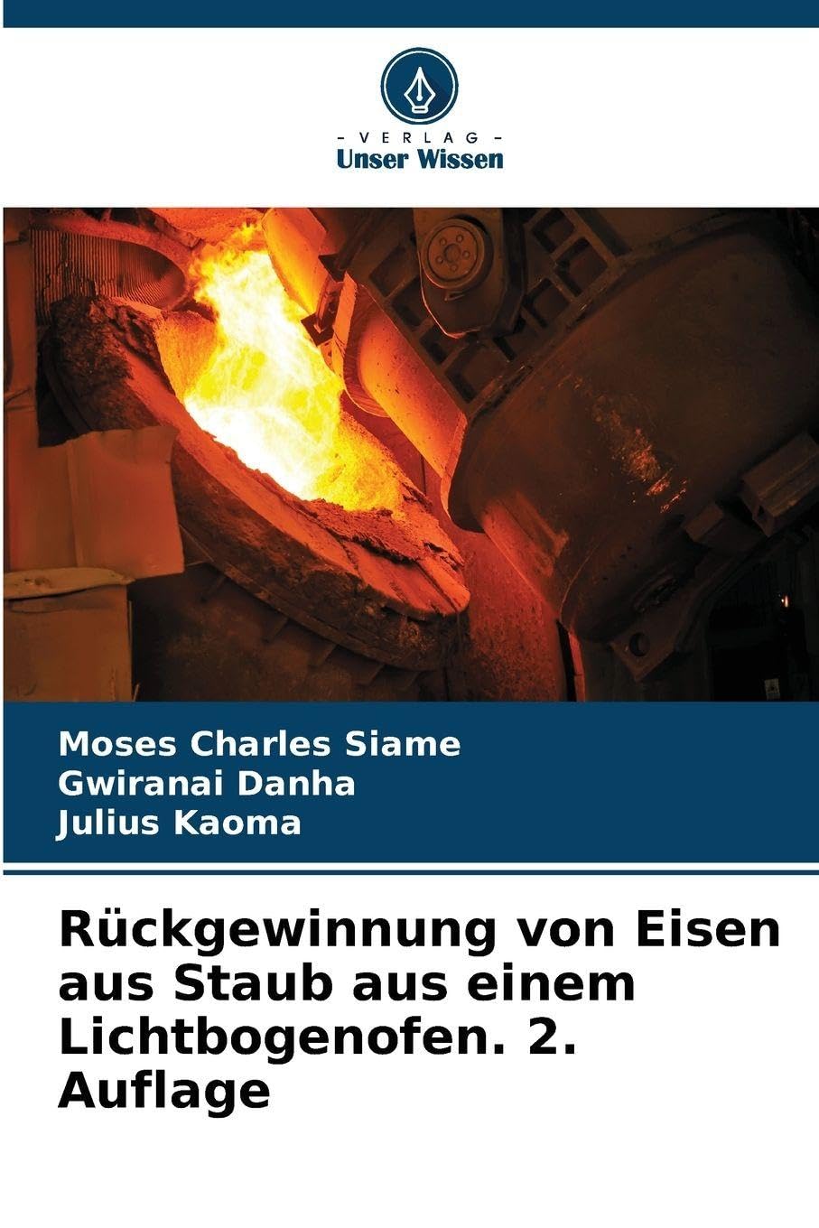 Rückgewinnung von Eisen aus Staub aus einem Lichtbogenofen. 2. Auflage Business & Technology