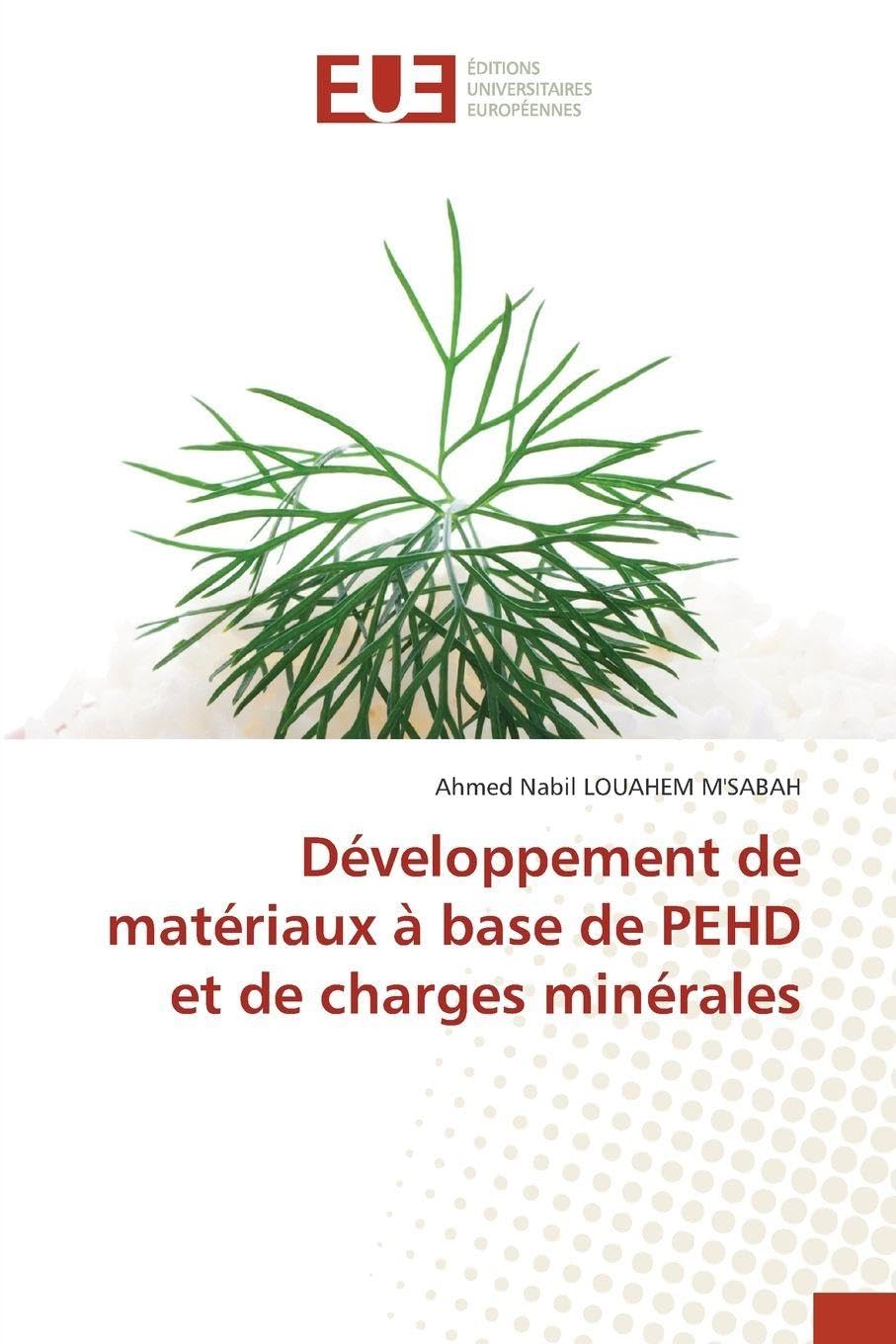 Développement de matériaux à base de PEHD et de charges minérales Business & Technology