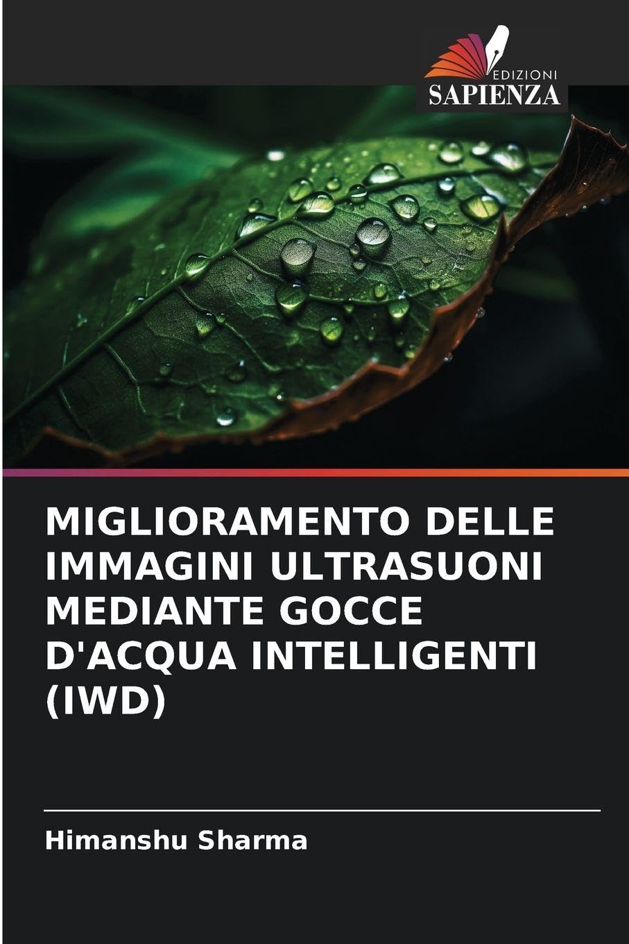 MIGLIORAMENTO DELLE IMMAGINI ULTRASUONI MEDIANTE GOCCE D'ACQUA INTELLIGENTI (IWD) Business & Technology