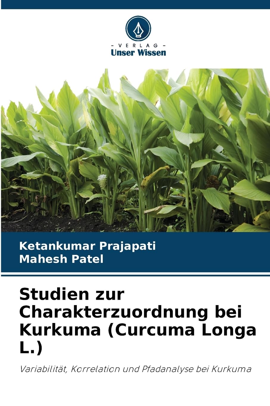 Studien zur Charakterzuordnung bei Kurkuma (Curcuma Longa L.) Natural Sciences
