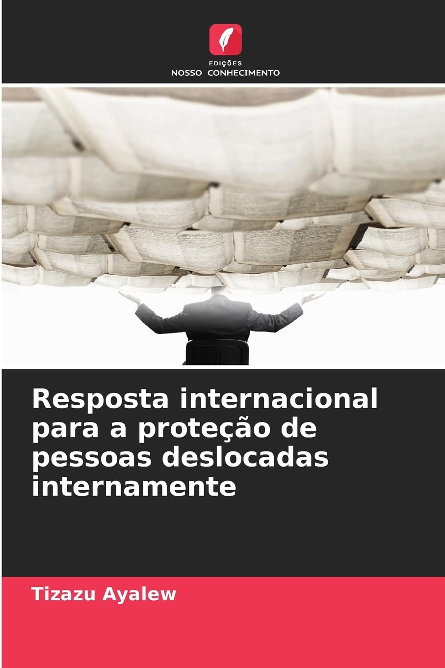 Resposta internacional para a proteção de pessoas deslocadas internamente Law