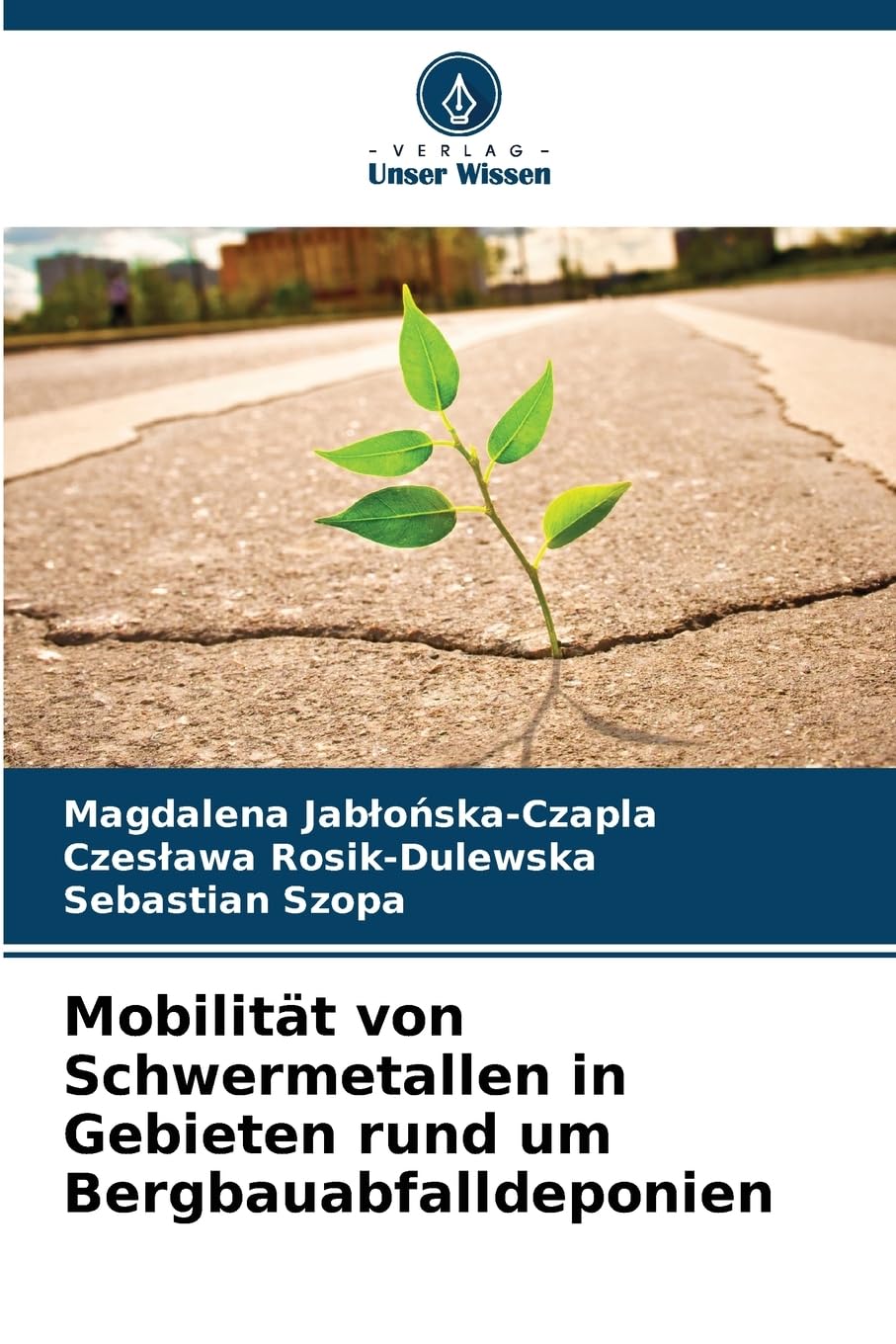 Mobilität von Schwermetallen in Gebieten rund um Bergbauabfalldeponien Law