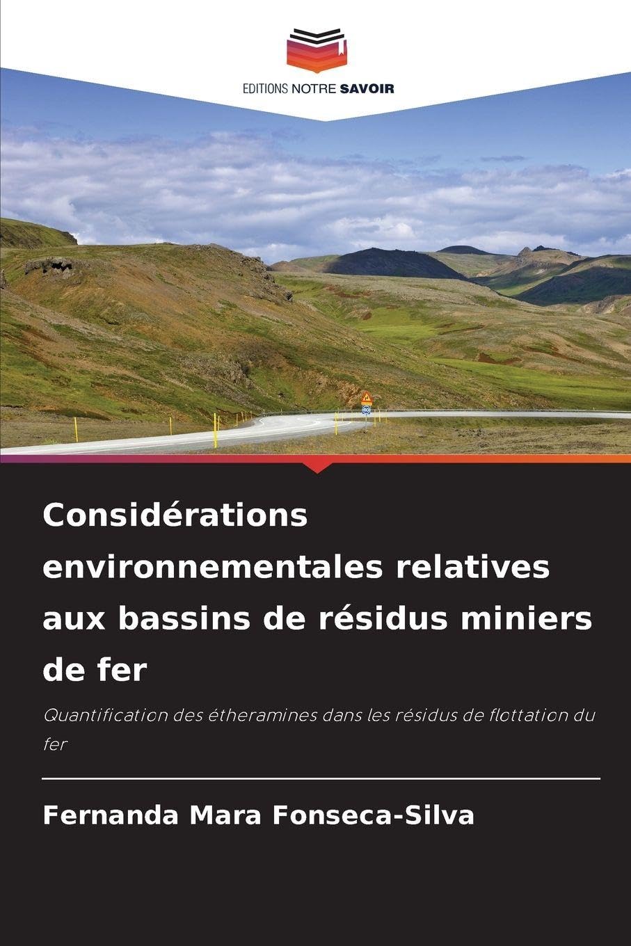 Considérations environnementales relatives aux bassins de résidus miniers de fer Business & Technology