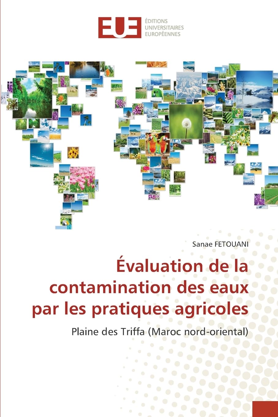 Évaluation de la contamination des eaux par les pratiques agricoles Natural Sciences