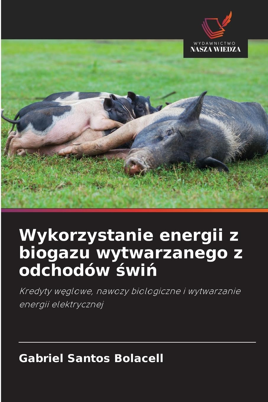 Wykorzystanie energii z biogazu wytwarzanego z odchodów ¿wi¿ Arts & Music