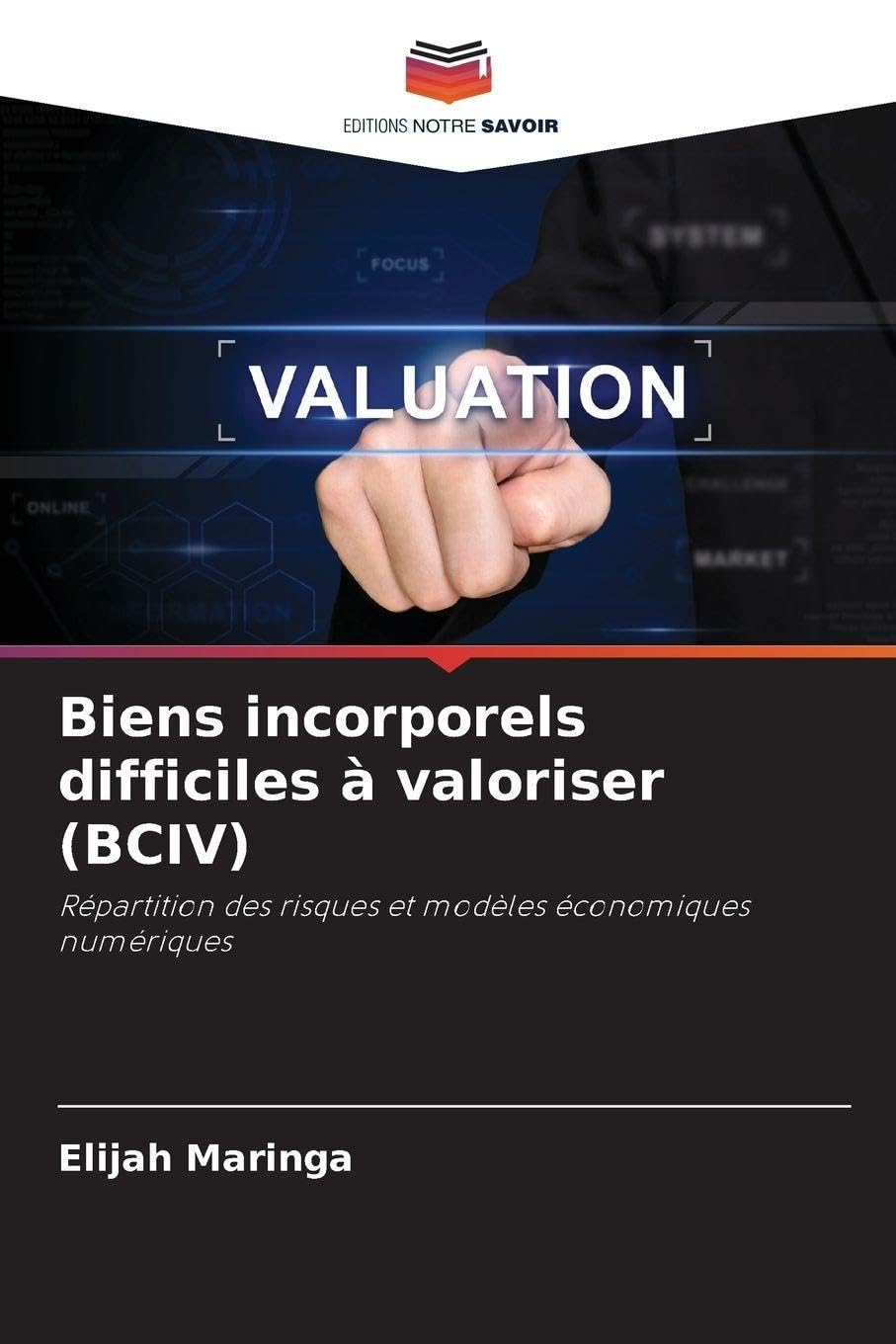 Biens incorporels difficiles à valoriser (BCIV): Répartition des risques et modèles économiques numériques Law
