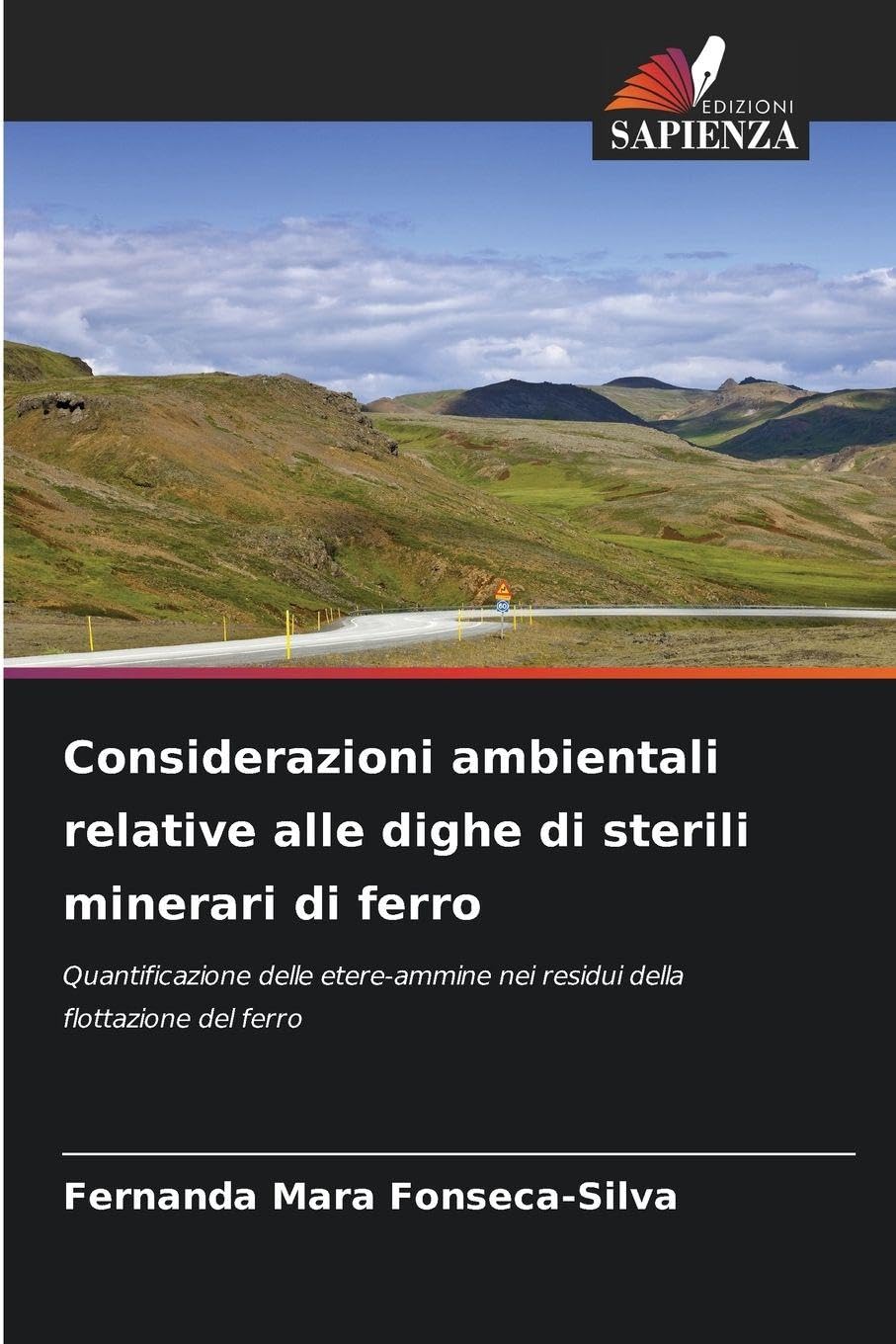 Considerazioni ambientali relative alle dighe di sterili minerari di ferro Business & Technology