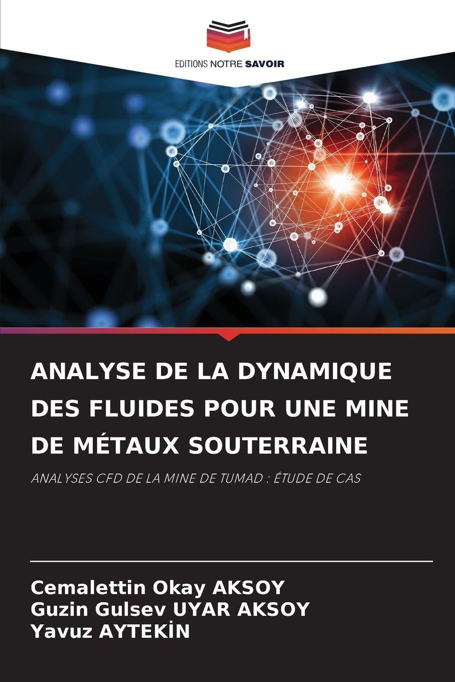 ANALYSE DE LA DYNAMIQUE DES FLUIDES POUR UNE MINE DE MÉTAUX SOUTERRAINE Natural Sciences