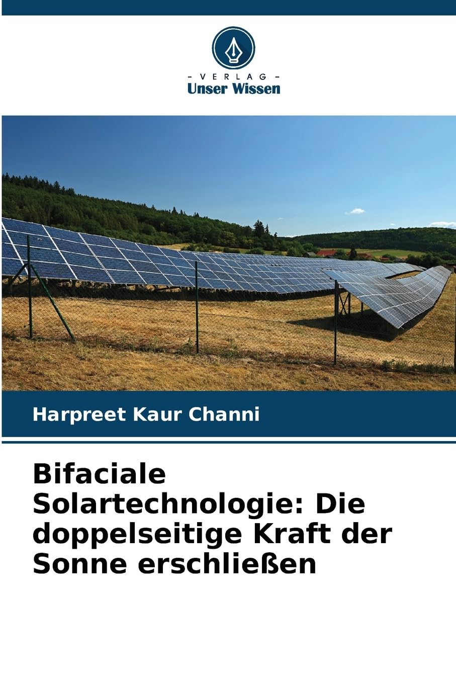 Bifaciale Solartechnologie: Die doppelseitige Kraft der Sonne erschließen Business & Technology