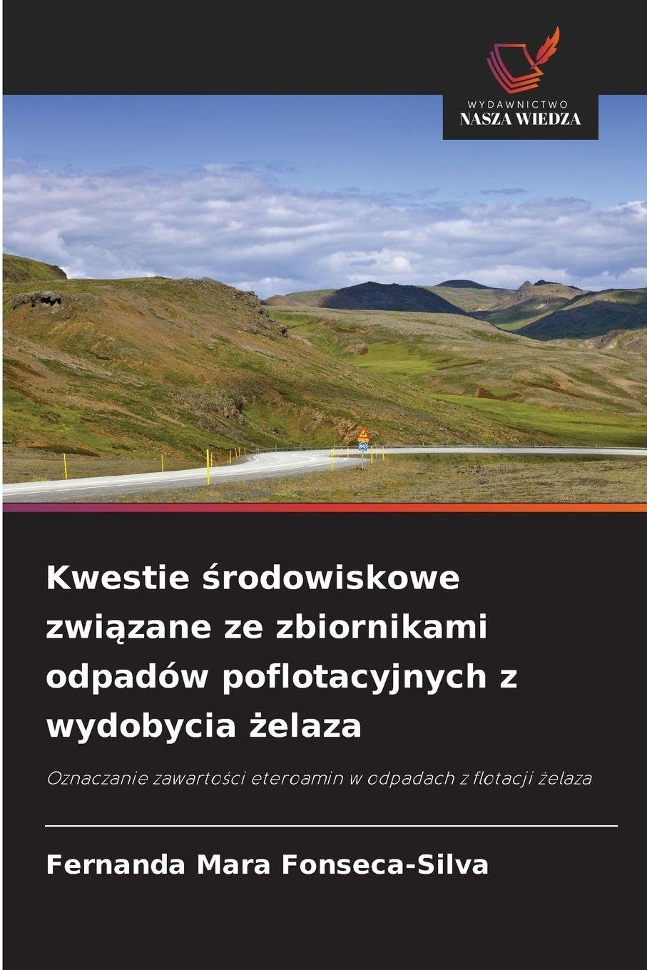 Kwestie ¿rodowiskowe zwi¿zane ze zbiornikami odpadów poflotacyjnych z wydobycia ¿elaza Business & Technology
