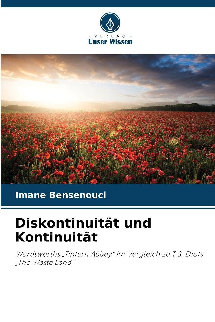 Product Image: Diskontinuität und Kontinuität