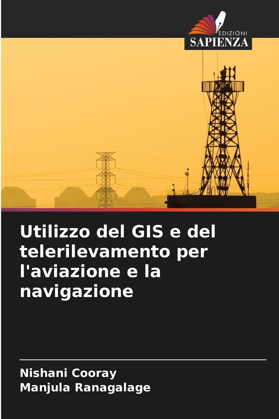 Utilizzo del GIS e del telerilevamento per l'aviazione e la navigazione Business & Technology