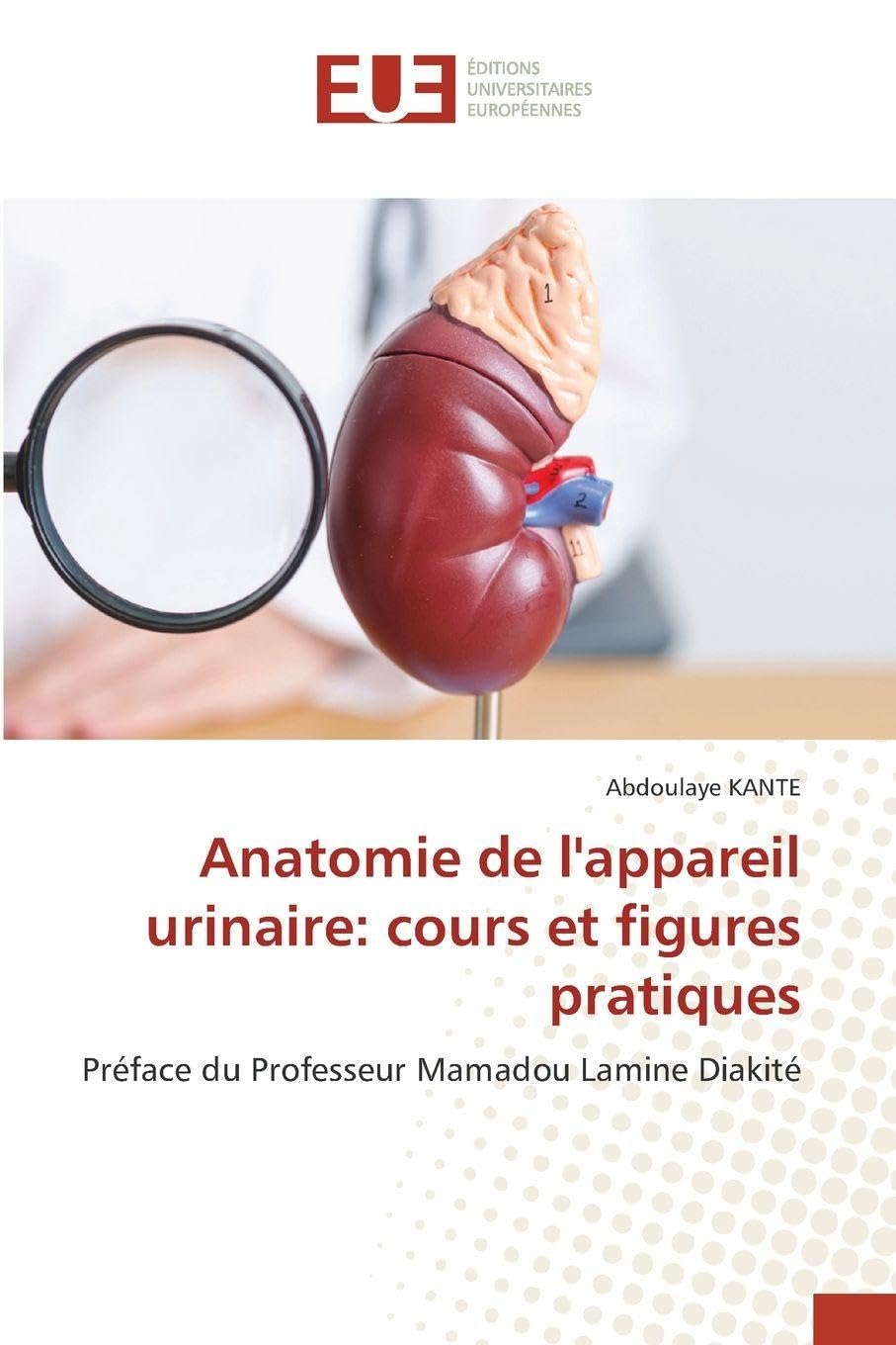 Anatomie de l'appareil urinaire: cours et figures pratiques Medicine