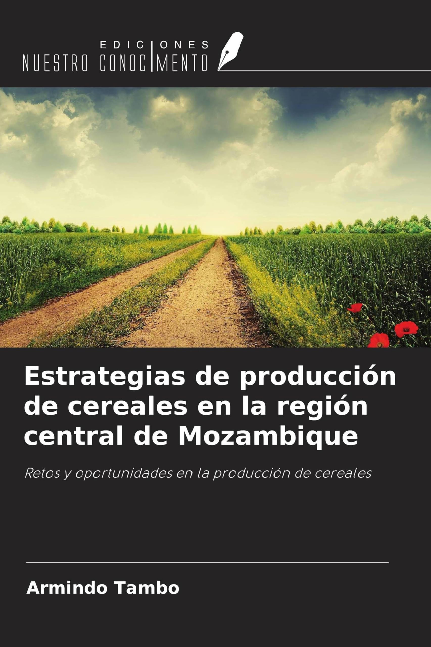 Estrategias de producción de cereales en la región central de Mozambique Natural Sciences