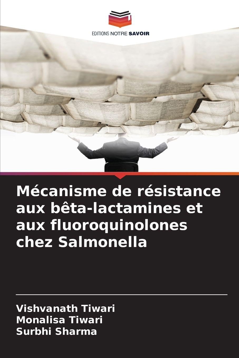 Mécanisme de résistance aux bêta-lactamines et aux fluoroquinolones chez Salmonella Natural Sciences