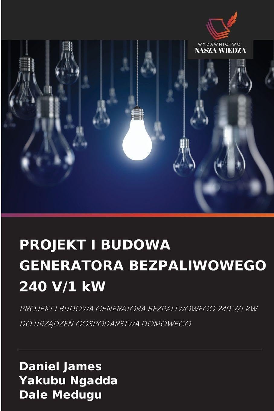 PROJEKT I BUDOWA GENERATORA BEZPALIWOWEGO 240 V/1 kW Natural Sciences