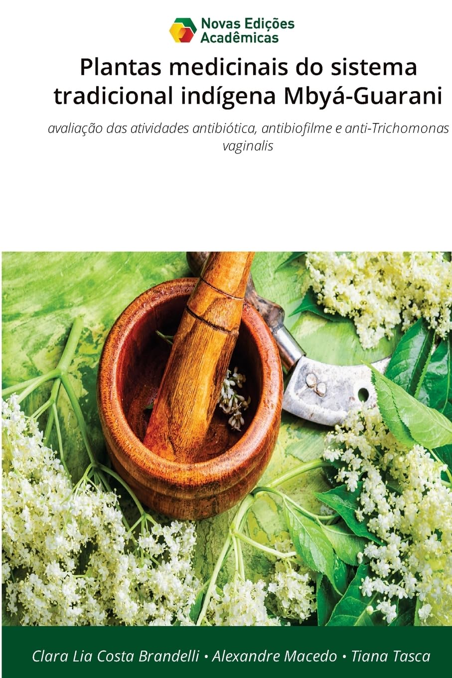 Plantas medicinais do sistema tradicional indígena Mbyá-Guarani Medicine