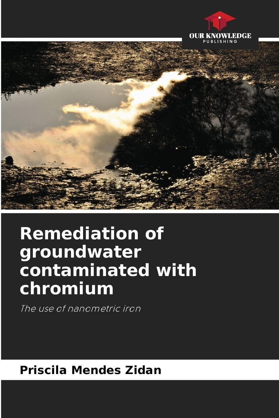 Remediation of groundwater contaminated with chromium Business & Technology