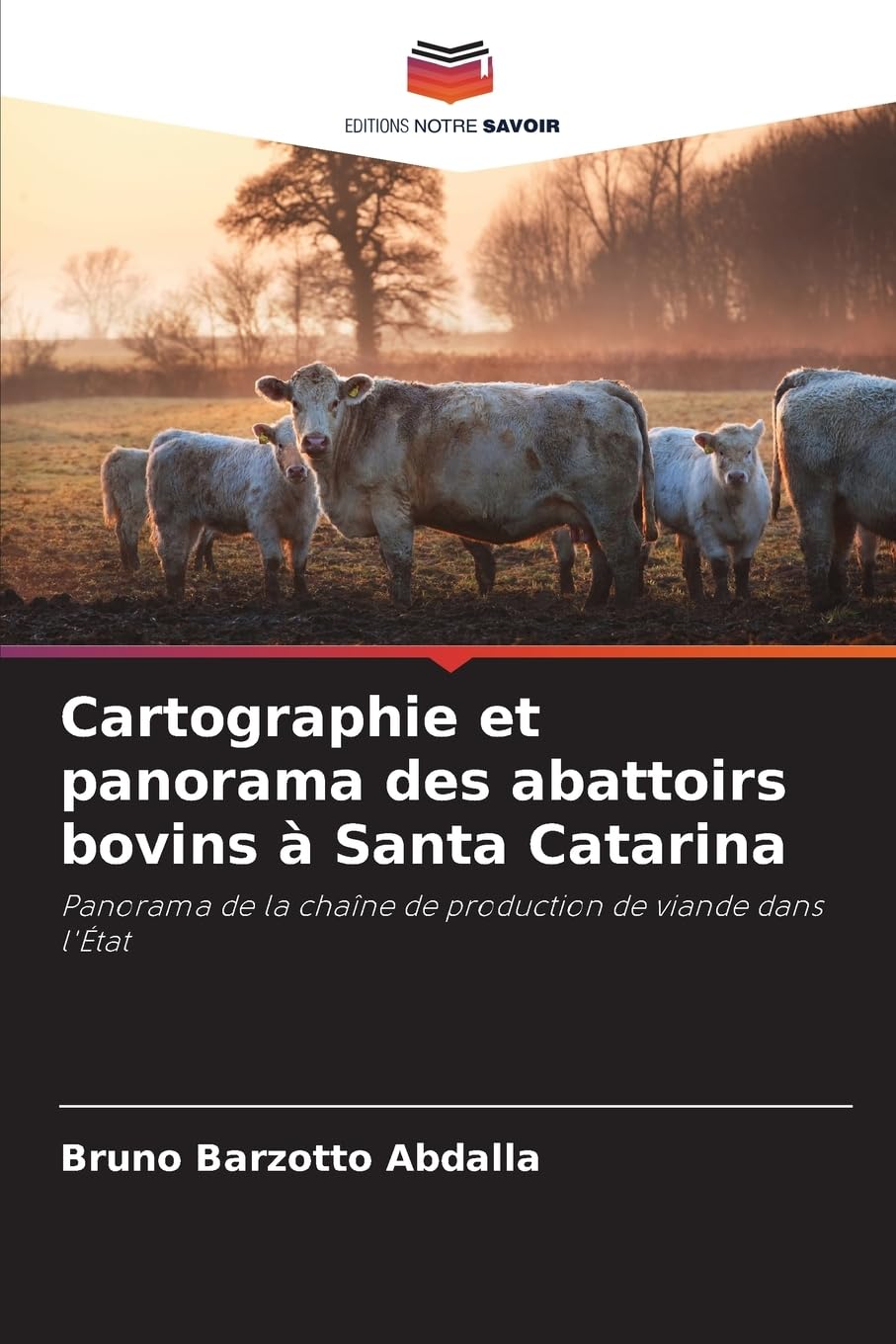 Cartographie et panorama des abattoirs bovins à Santa Catarina Natural Sciences