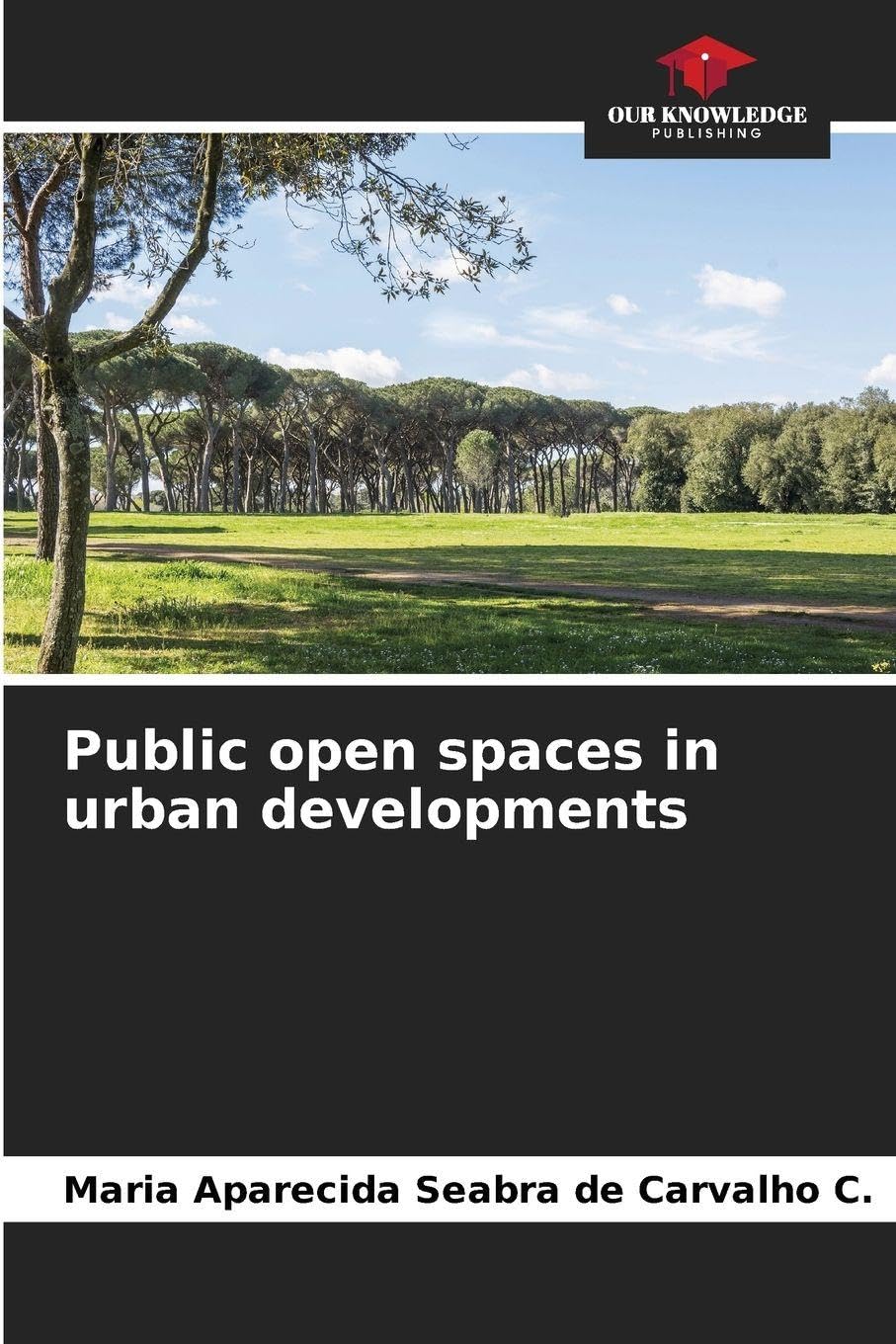 Public open spaces in urban developments Architecture