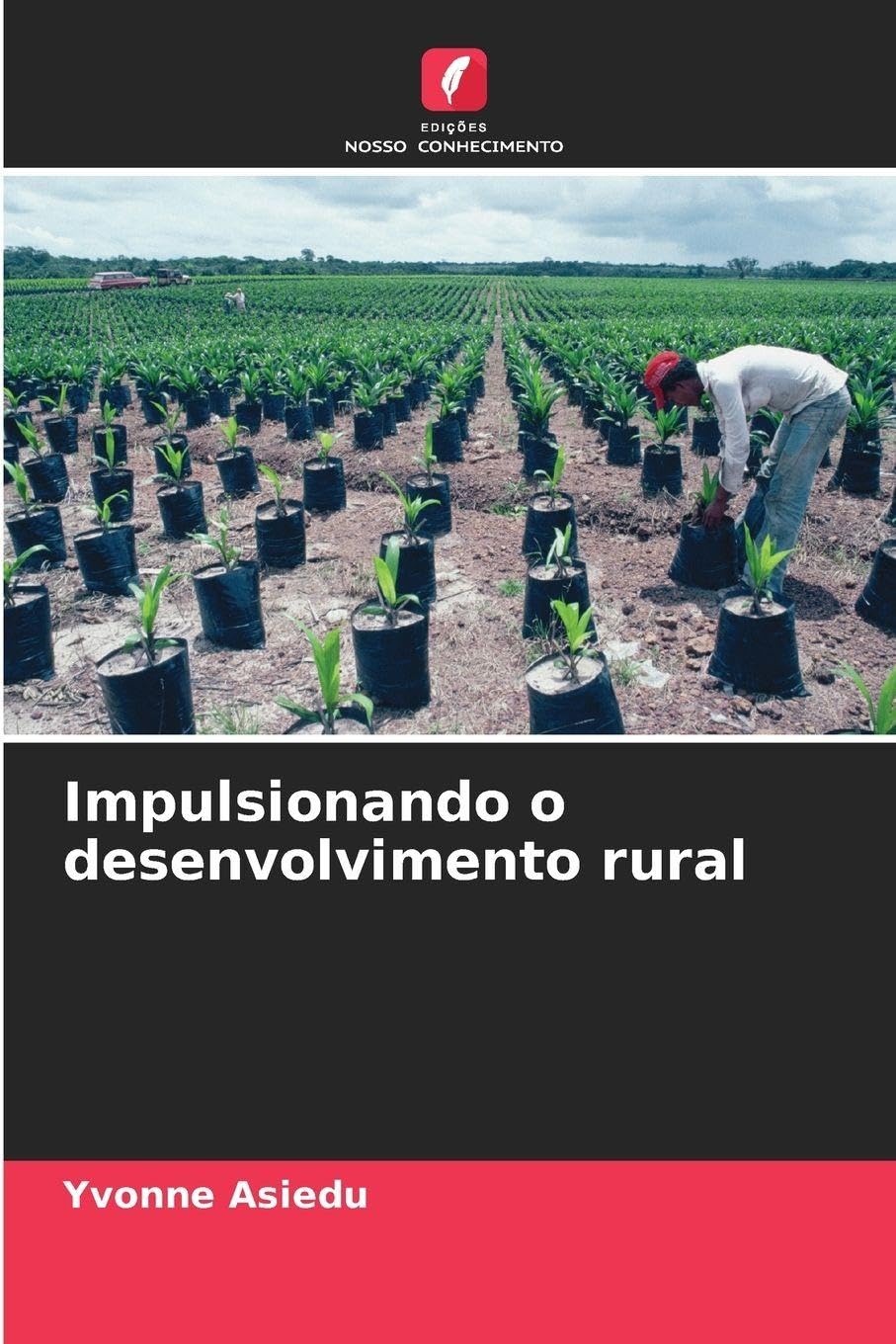 Impulsionando o desenvolvimento rural Law