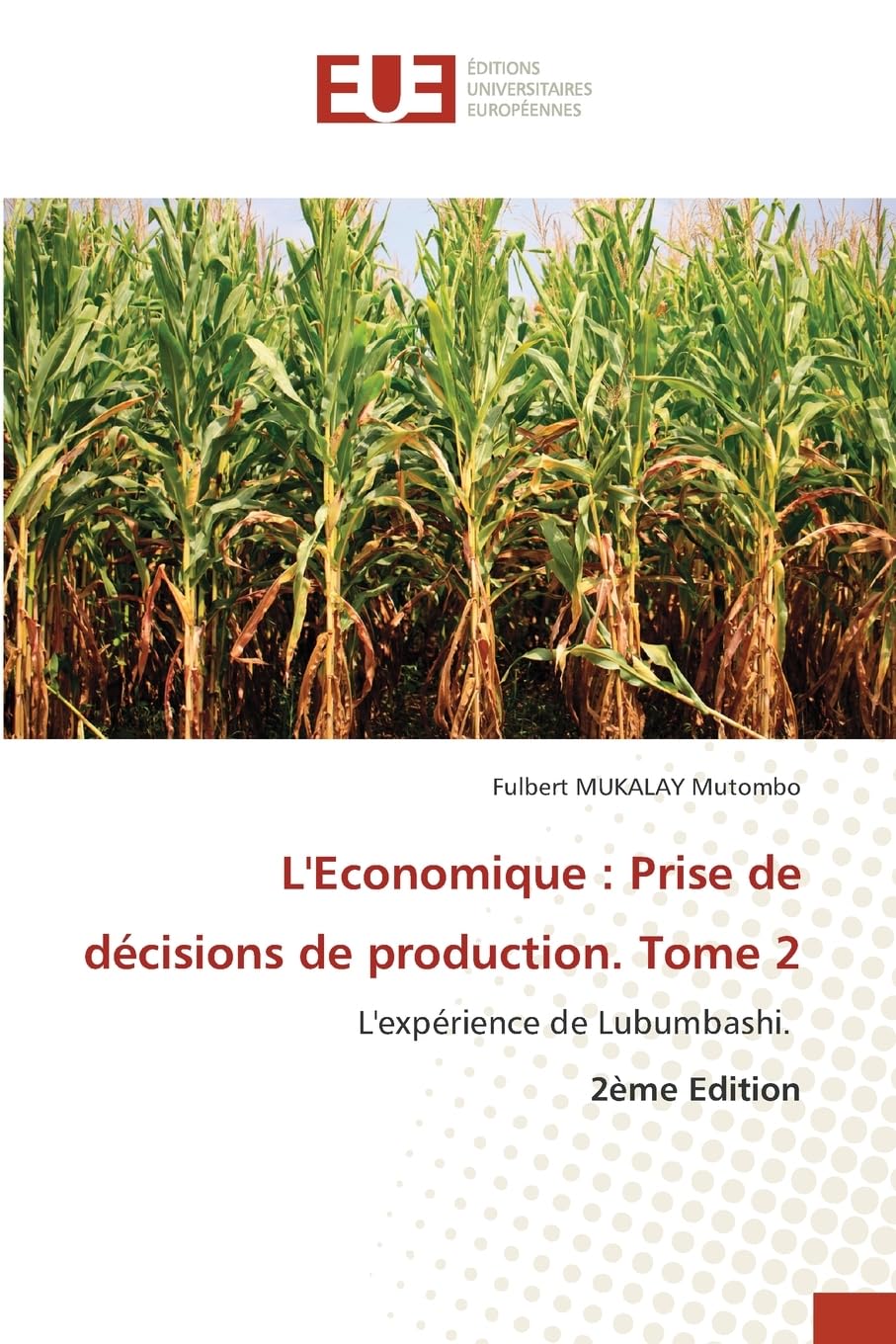 L'Economique : Prise de décisions de production. Tome 2 book