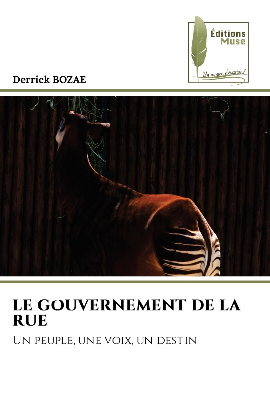 LE GOUVERNEMENT DE LA RUE Law