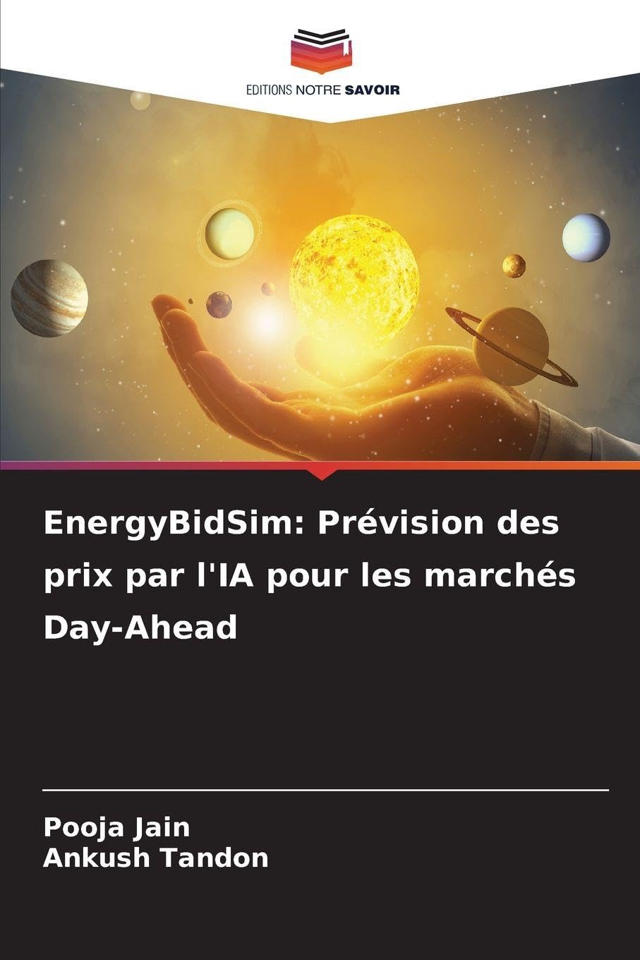 EnergyBidSim: Prévision des prix par l'IA pour les marchés Day-Ahead Law