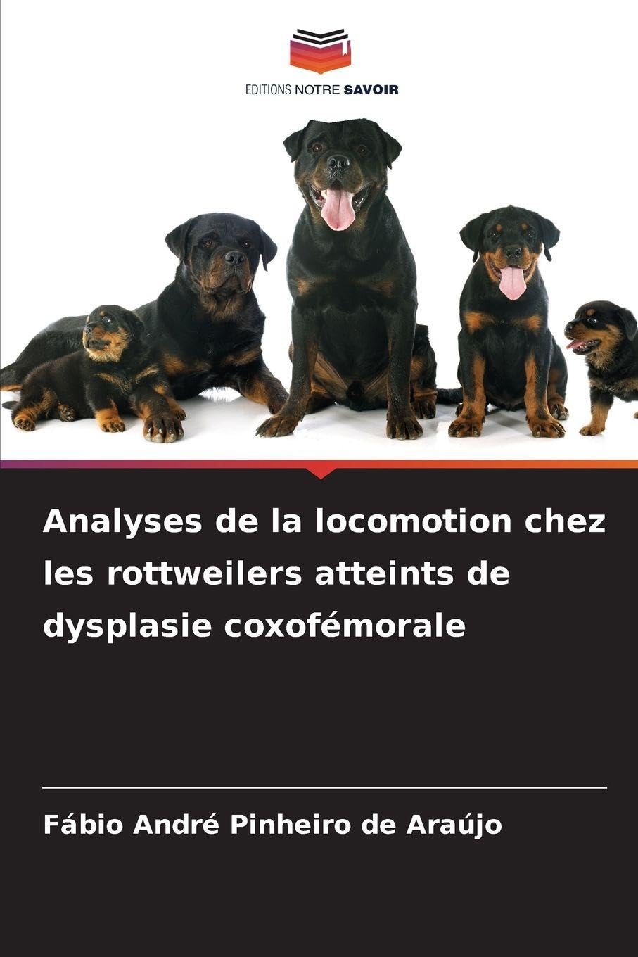 Analyses de la locomotion chez les rottweilers atteints de dysplasie coxofémorale Medicine